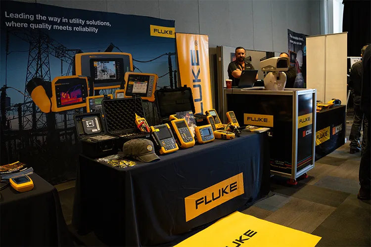 fluke display